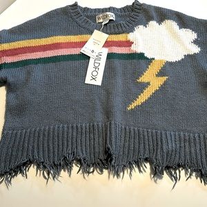 WILDFOX comfiest rainbow cloud sweater!